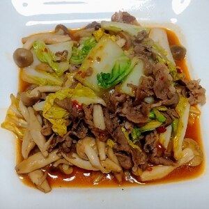 白菜と牛肉のオイスターソース炒め